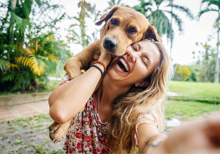 Absolute Dogs Background